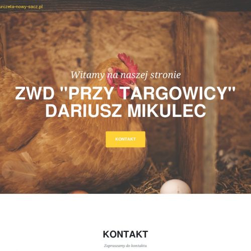Nowy Sącz - kury nioski