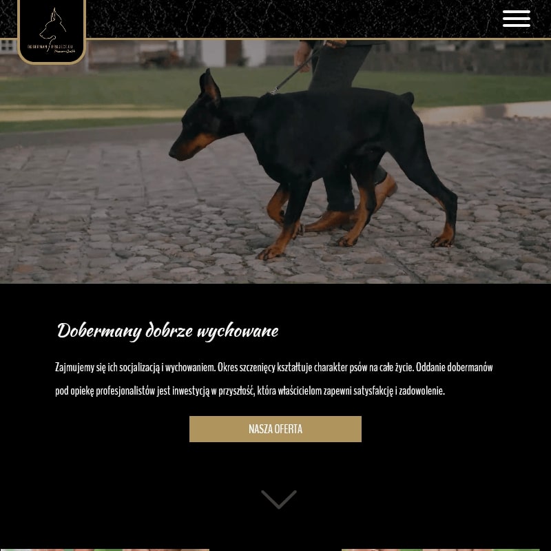 Hodowle dobermanów w polsce - Wrocław
