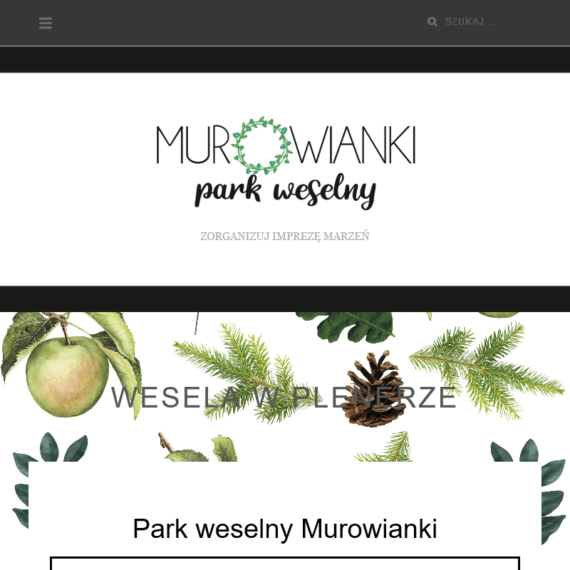 Ślub w plenerze wielkopolska - Turek